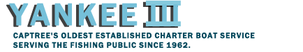 Yankee III